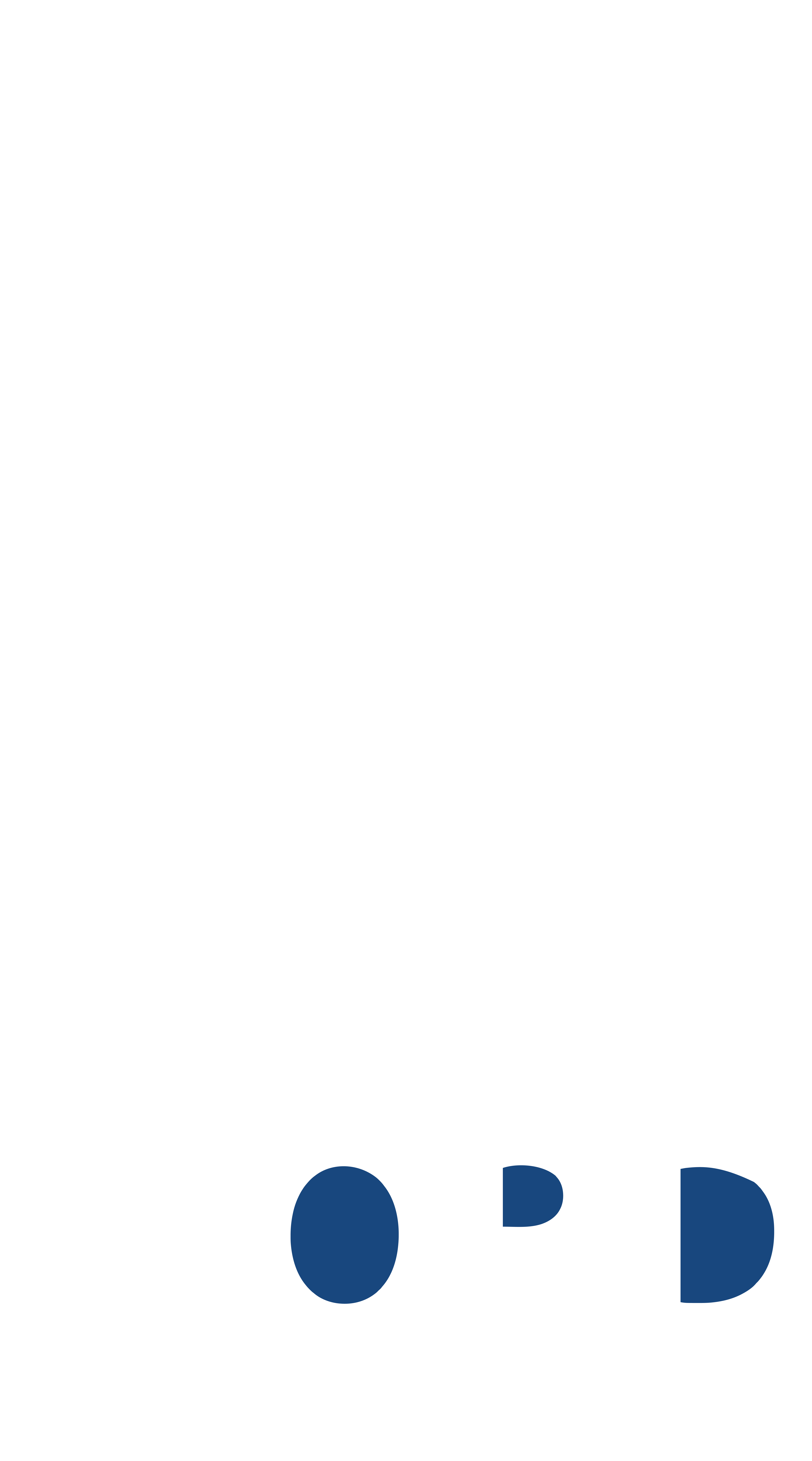 Footer Logo